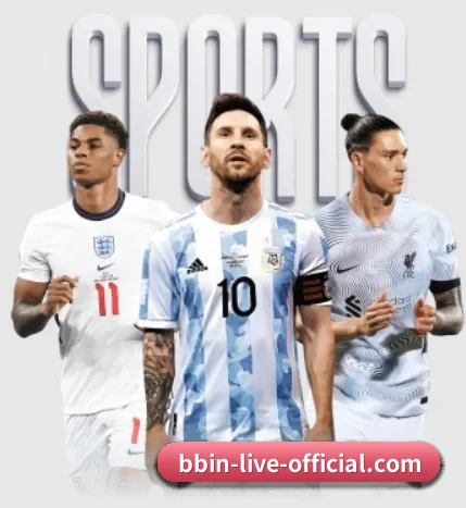 bbin-live-official.com 隐私政策与服务边界说明