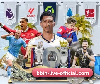 bbin-live-official.com 官方入口、APP下载与帮助中心界面