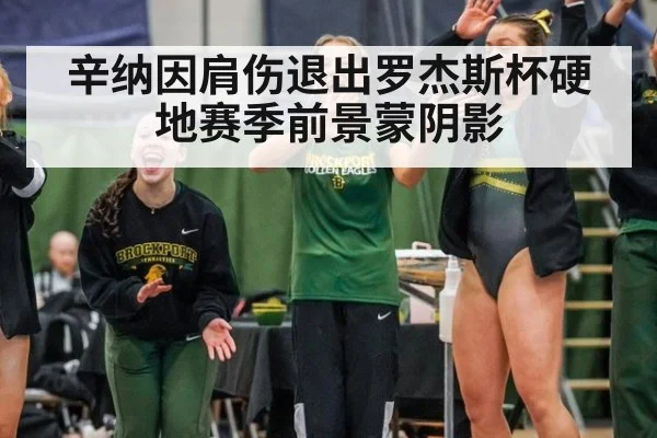 辛纳因肩伤退出罗杰斯杯硬地赛季前景蒙阴影